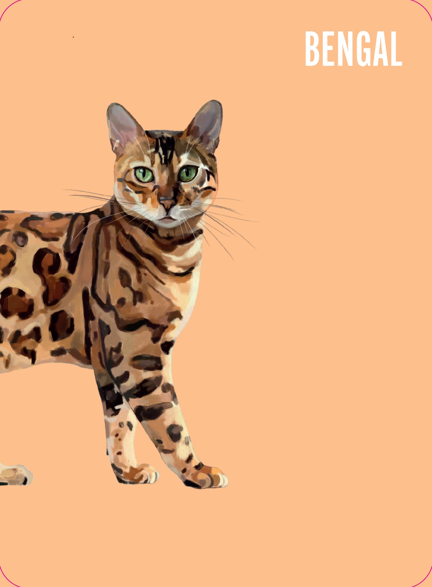 Heads & Tails: Cat Memory Cards - Match Up Iconic Cats