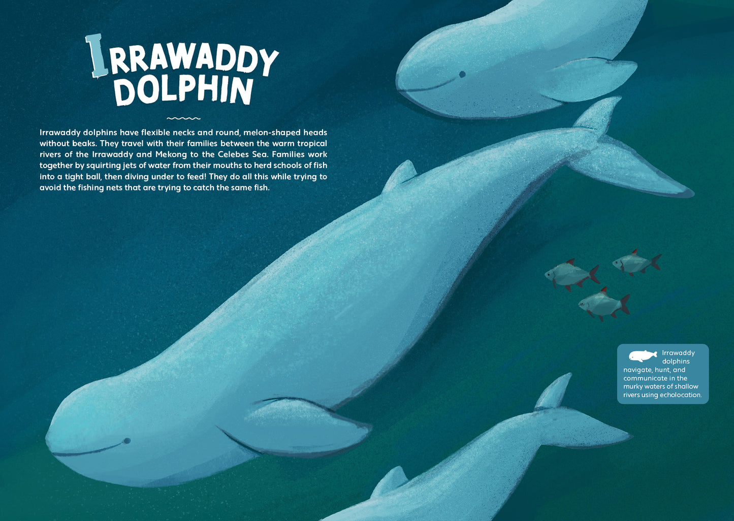 Marvellous Mammals: A Wild A to Z of Southeast Asia