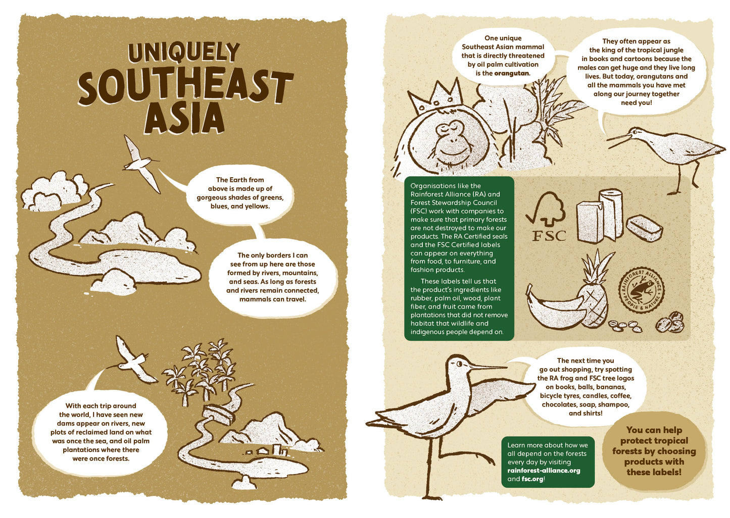Marvellous Mammals: A Wild A to Z of Southeast Asia