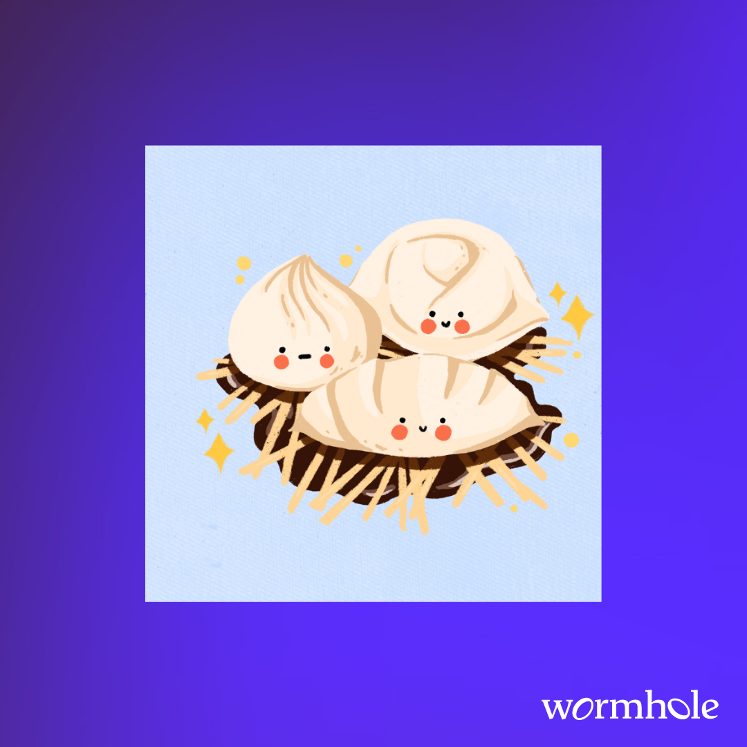 dumpling print – Wormhole
