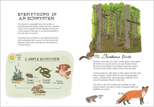 Wildlife Anatomy: The Curious Lives & Features of Wild Animals around the World