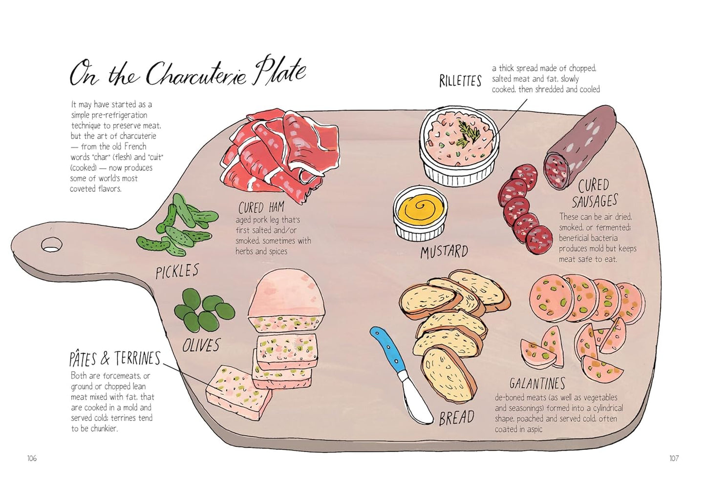 Food Anatomy: The Curious Parts & Pieces of Our Edible World