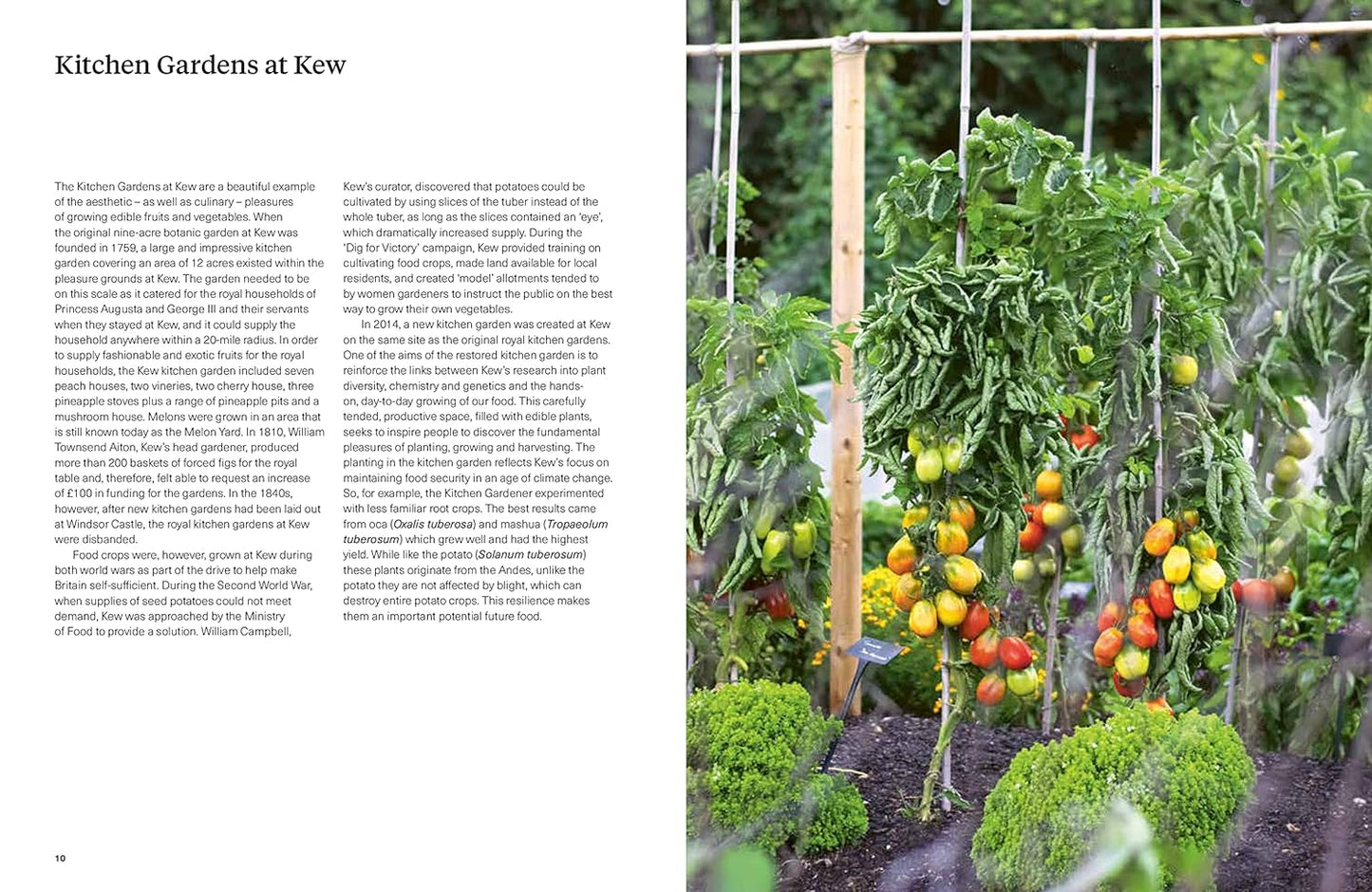 Kew Gardens Cookbook