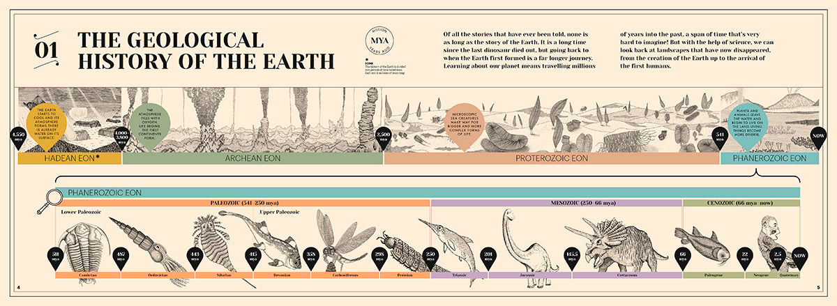 First Begin Earth How Life On Earth Began – Wormhole