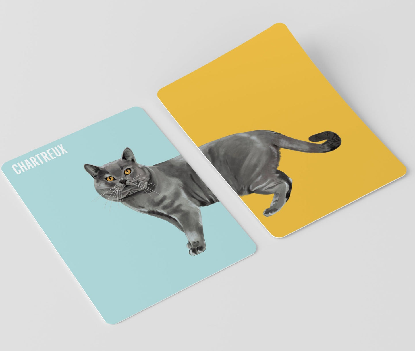 Heads & Tails: Cat Memory Cards - Match Up Iconic Cats