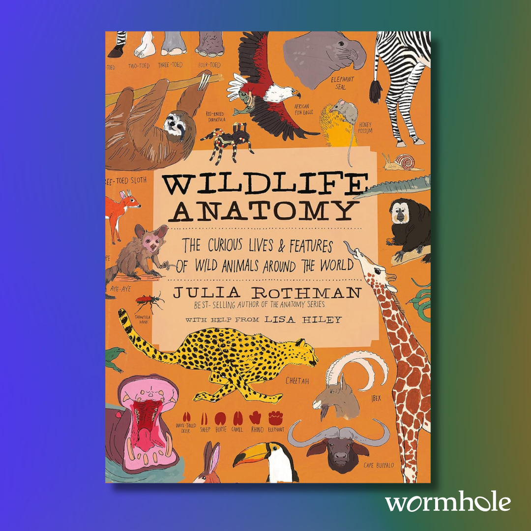 Wildlife Anatomy: The Curious Lives & Features of Wild Animals around the World