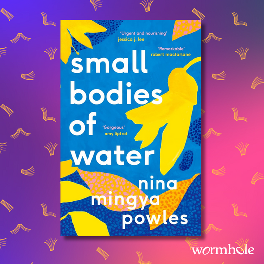 Small Bodies of Water