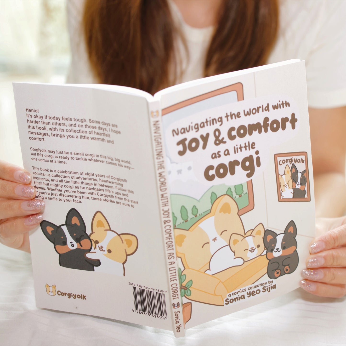 Navigating the World with Joy and Comfort as a Little Corgi