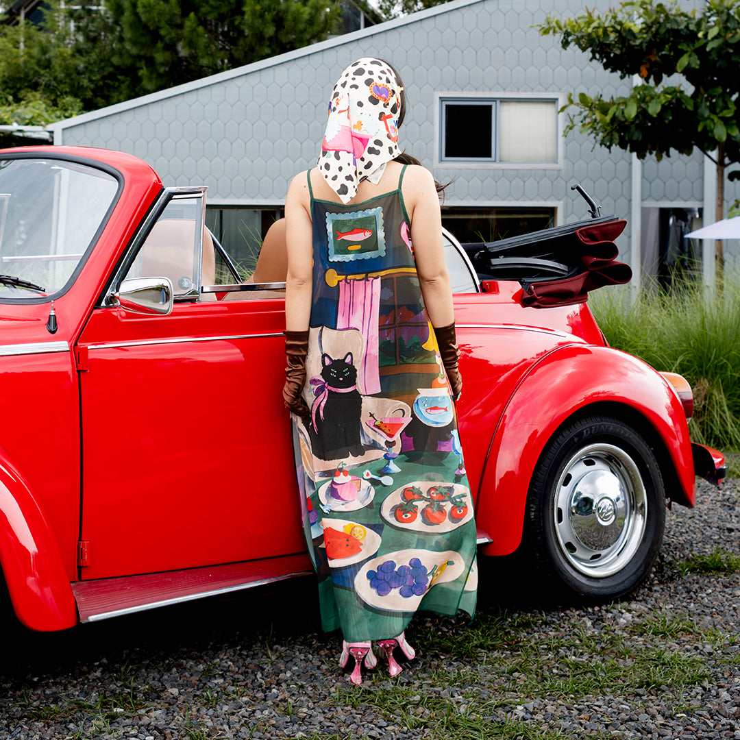 Velvet Feast See Through Dress