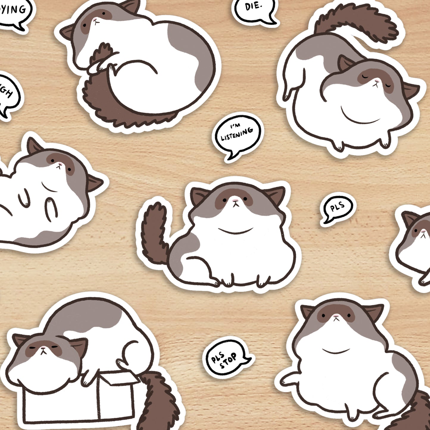 Cute Chonky Cat Sticker Sheet