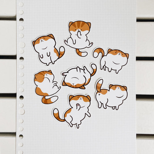 Cute Tabby Chonky Cat Die Cut Stickers