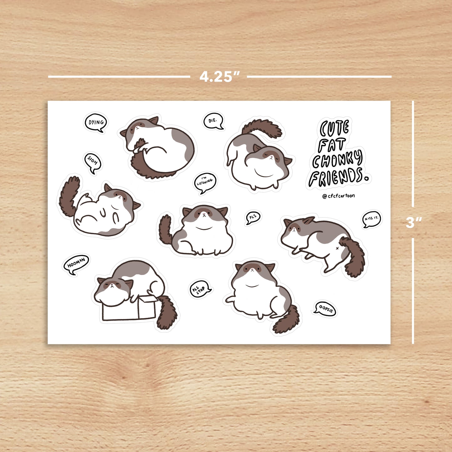 Cute Chonky Cat Sticker Sheet