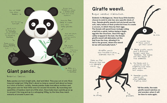 The World's Most Pointless Animals