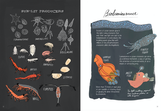 Ocean Anatomy: The Curious Parts & Pieces of the World Under the Sea
