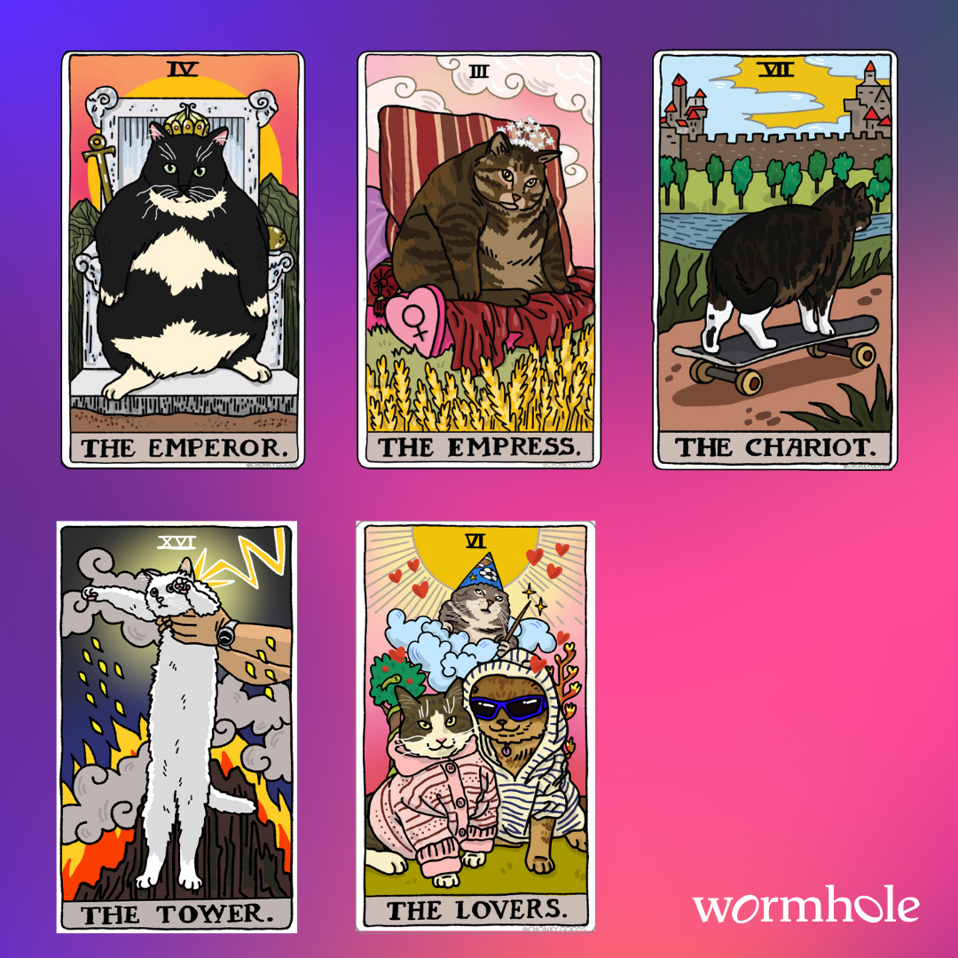 Tarot Meme Cat Stickers